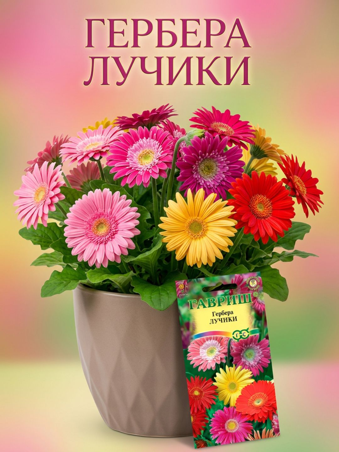 Семена герберы «Лучики»