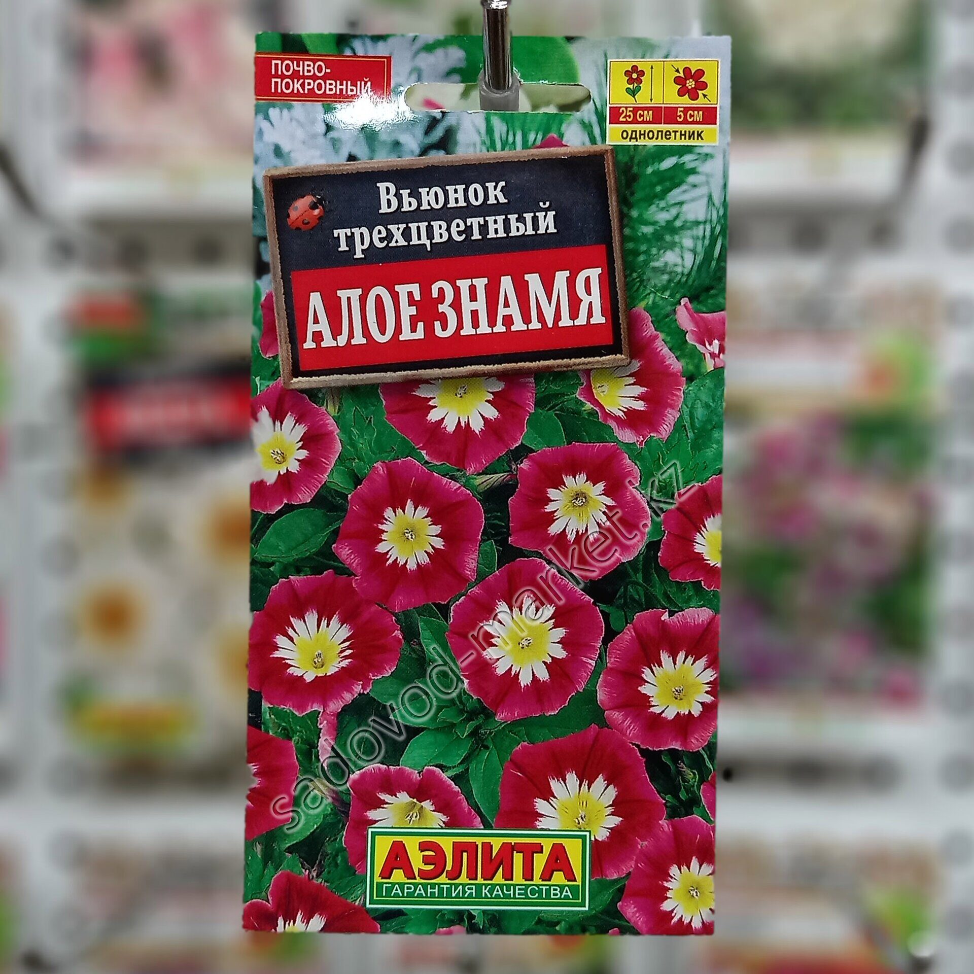 Семена вьюнка «Алое знамя»